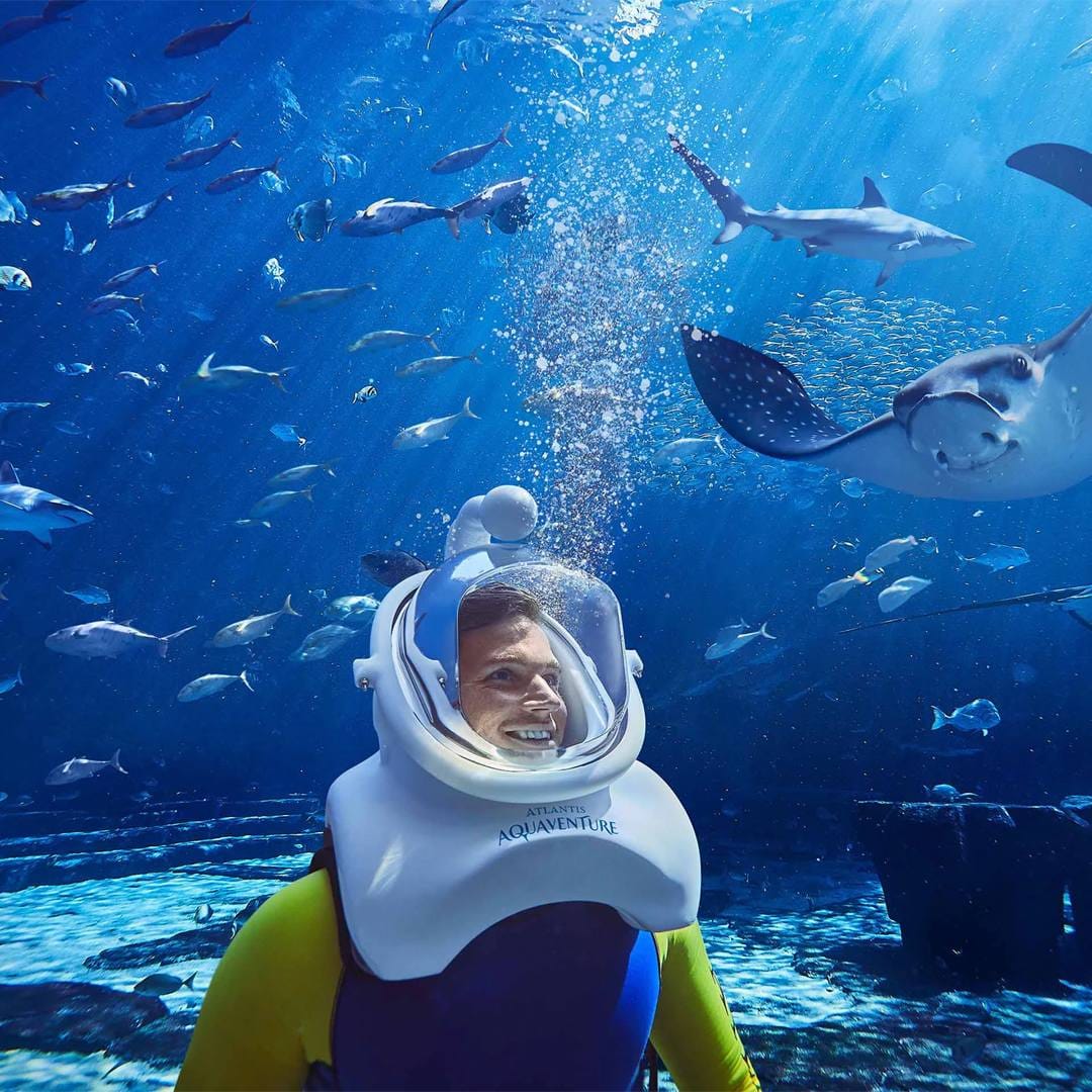 پارک آبی آتلانتیس دبی - 1