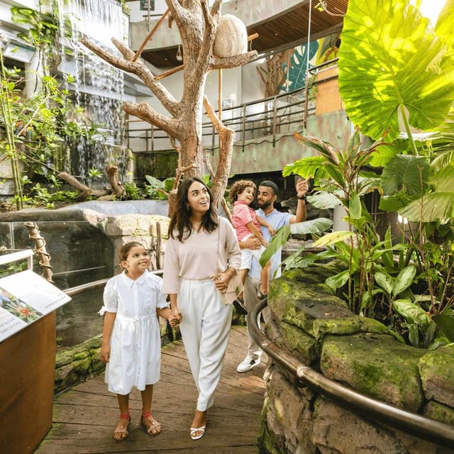 گرین پلنت دبی