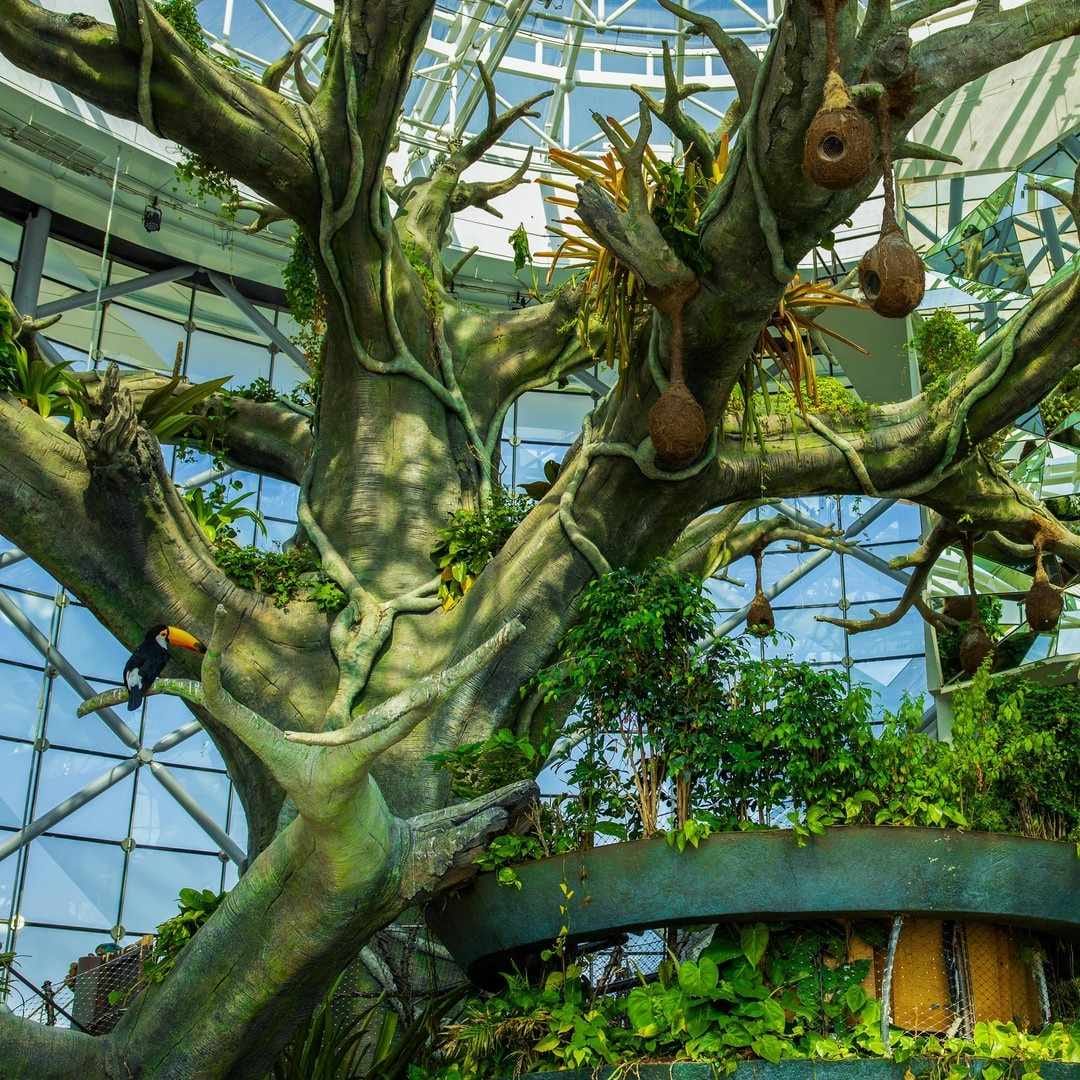 گرین پلنت دبی - 1