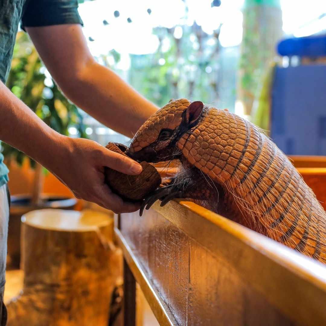 گرین پلنت دبی - 2