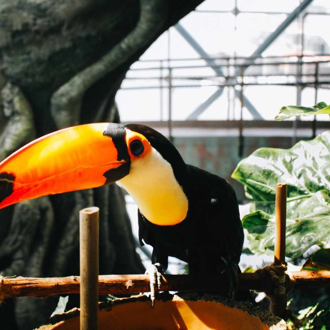 گرین پلنت دبی - 4